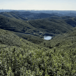 Herdade em Farelo Portimão