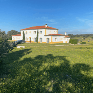 Herdade em Pavia Mora